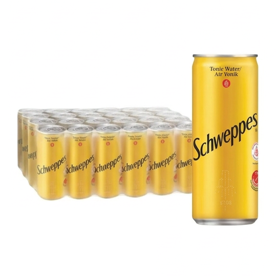 Schweppes Ginger Ale – 320ml (24 Cans/Carton)