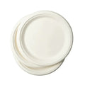 Biodegradable Plates (50 Pieces)